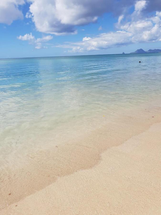 Ste Luce, N° 11 Appart -300M Plage De Mabouyas Corps de Garde المظهر الخارجي الصورة